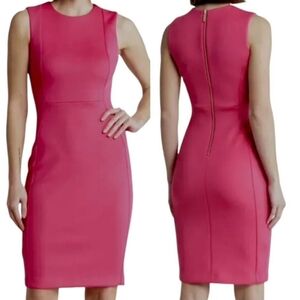 Calvin Klein Seamed Scuba Crepe Sheath Dress Size 14W Pink Sleeveless Unlined